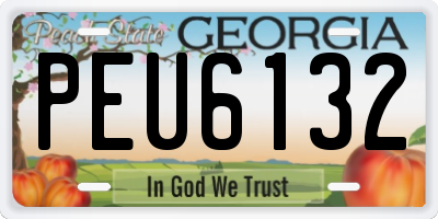 GA license plate PEU6132