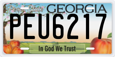 GA license plate PEU6217