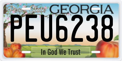 GA license plate PEU6238