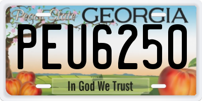 GA license plate PEU6250