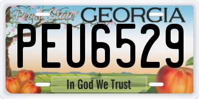 GA license plate PEU6529