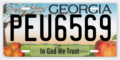 GA license plate PEU6569
