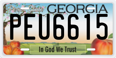 GA license plate PEU6615