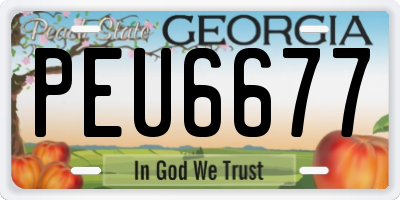 GA license plate PEU6677
