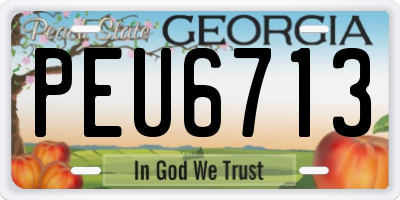 GA license plate PEU6713