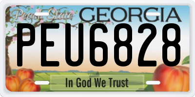 GA license plate PEU6828