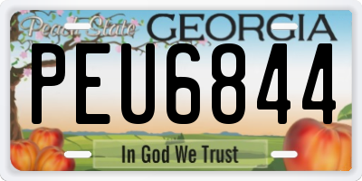 GA license plate PEU6844