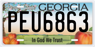 GA license plate PEU6863