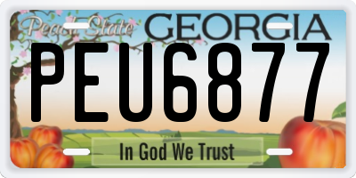 GA license plate PEU6877