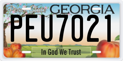 GA license plate PEU7021