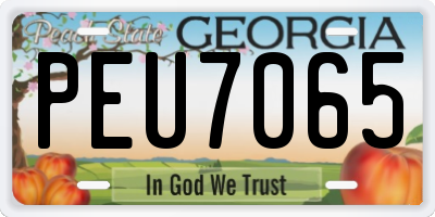GA license plate PEU7065