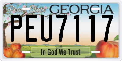 GA license plate PEU7117