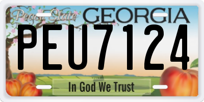 GA license plate PEU7124