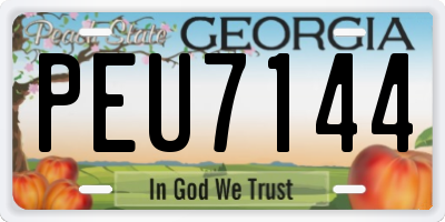 GA license plate PEU7144