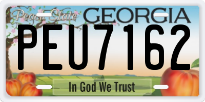 GA license plate PEU7162