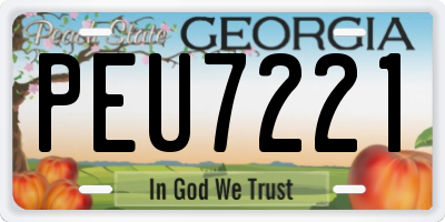 GA license plate PEU7221