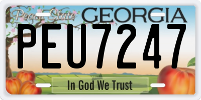 GA license plate PEU7247