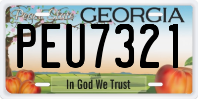 GA license plate PEU7321