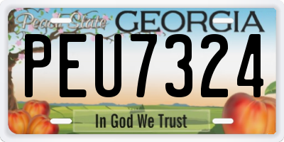 GA license plate PEU7324