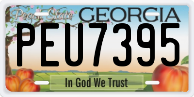 GA license plate PEU7395