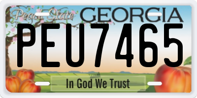 GA license plate PEU7465