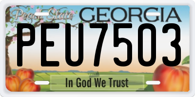 GA license plate PEU7503