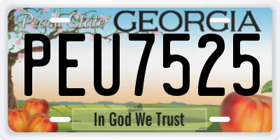 GA license plate PEU7525