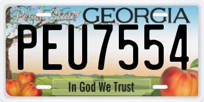GA license plate PEU7554