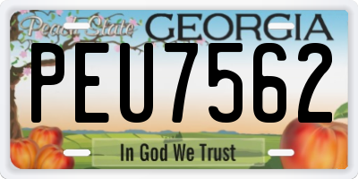 GA license plate PEU7562