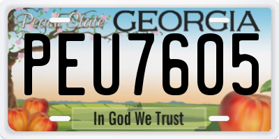GA license plate PEU7605