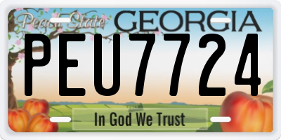 GA license plate PEU7724