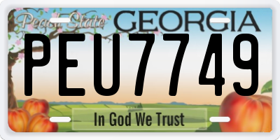 GA license plate PEU7749