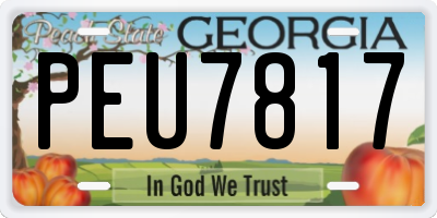 GA license plate PEU7817