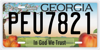 GA license plate PEU7821