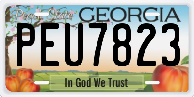 GA license plate PEU7823