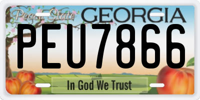 GA license plate PEU7866