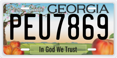GA license plate PEU7869