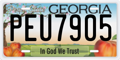 GA license plate PEU7905