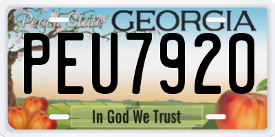 GA license plate PEU7920