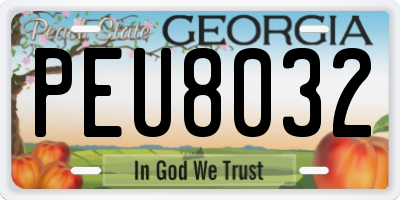 GA license plate PEU8032