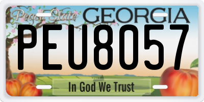 GA license plate PEU8057