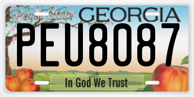 GA license plate PEU8087