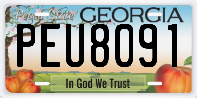 GA license plate PEU8091
