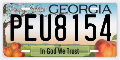 GA license plate PEU8154