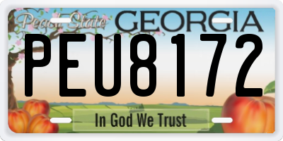 GA license plate PEU8172