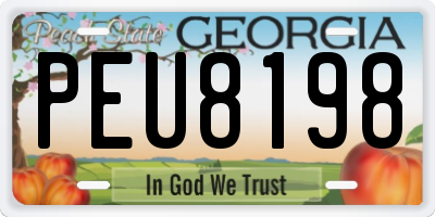 GA license plate PEU8198