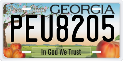 GA license plate PEU8205