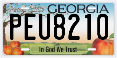 GA license plate PEU8210