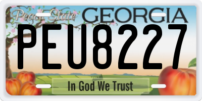 GA license plate PEU8227