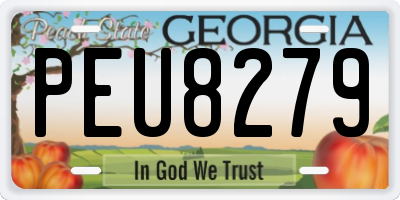 GA license plate PEU8279